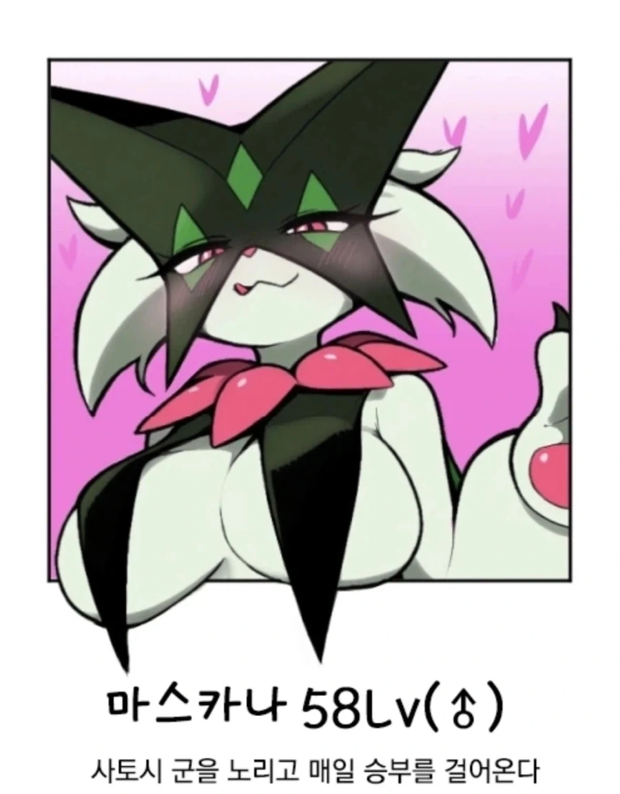 톰보이 레벨 정리_1.webp
