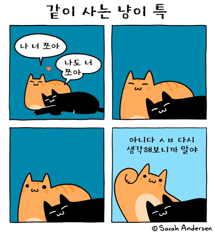 냥이 사이쪼아_1.webp