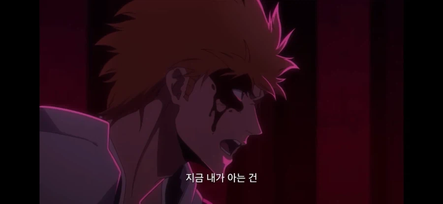 블리치 이치고 말이 맞는 부분_9.webp