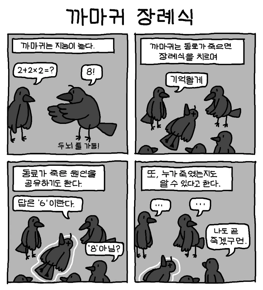 manga_1981230_001.webp