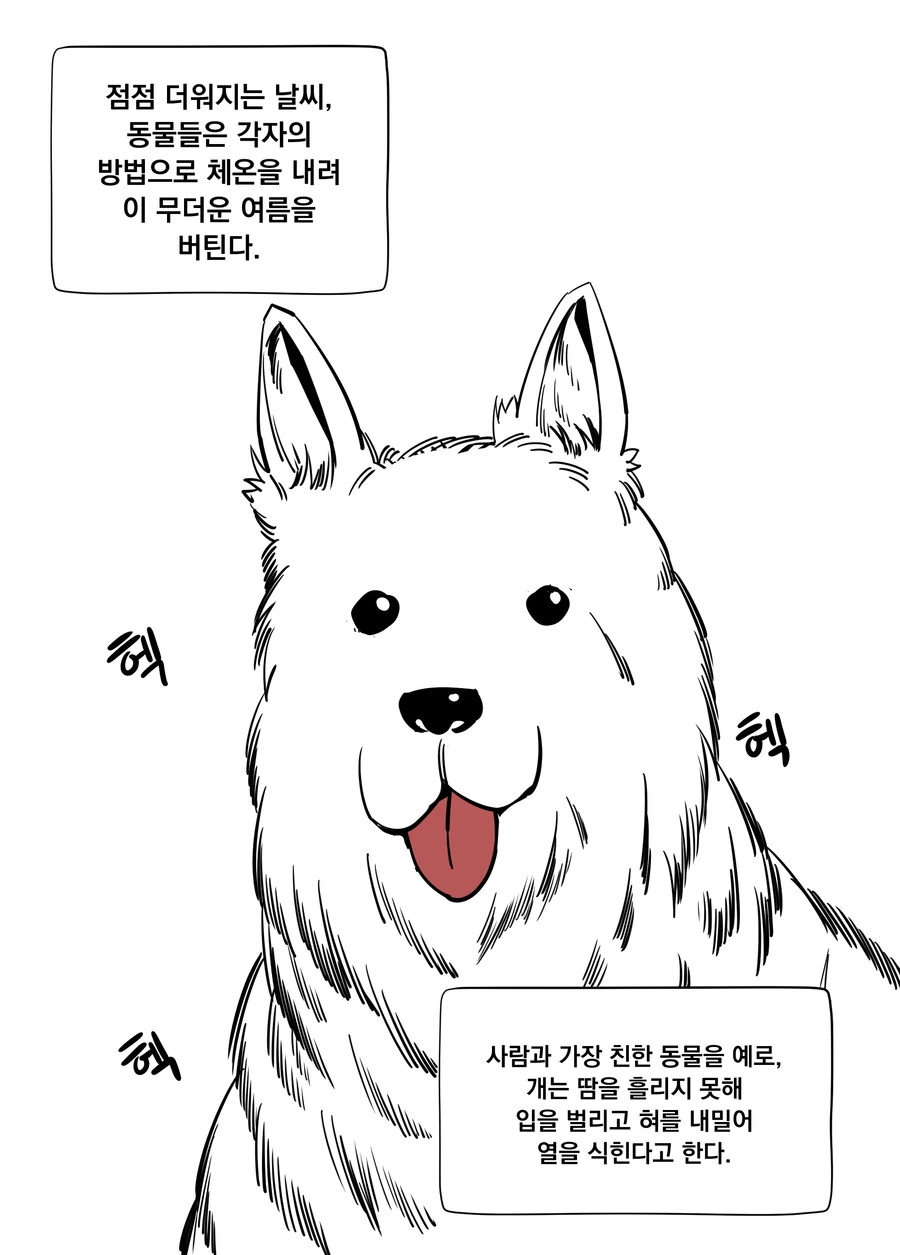 manga_2662982_008.webp