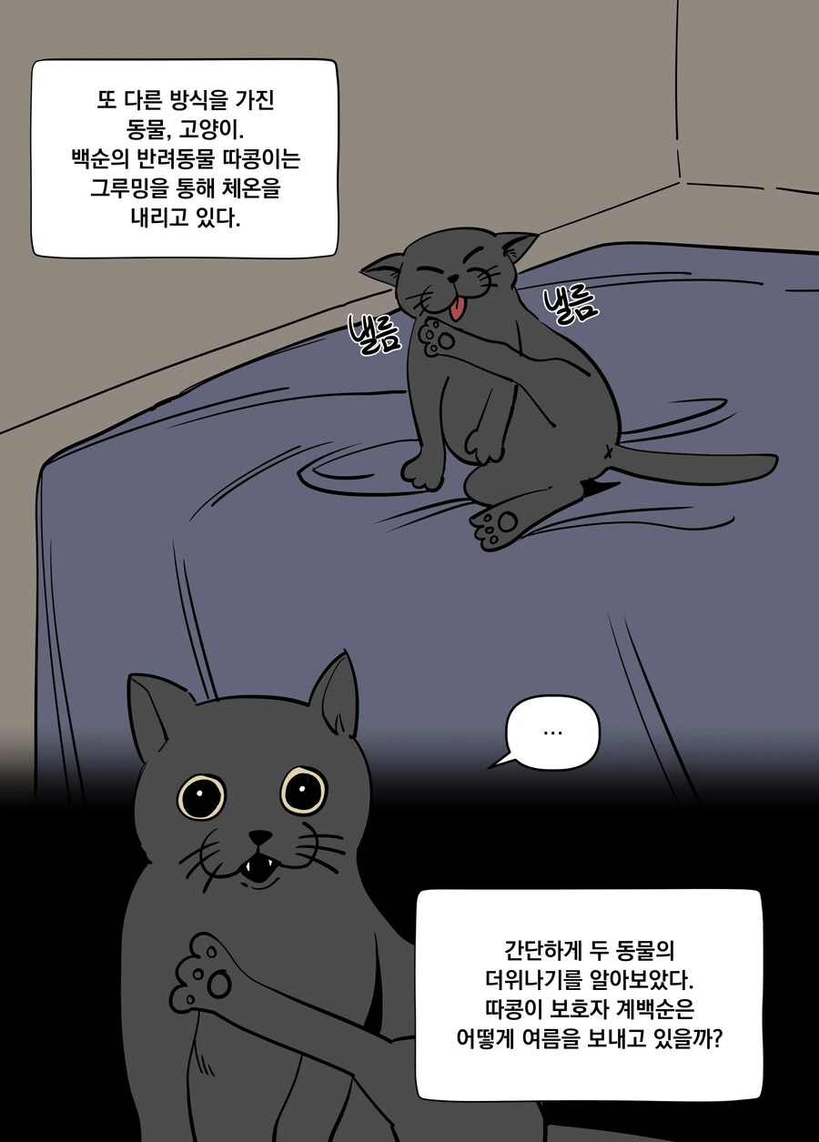 manga_2662982_009.webp