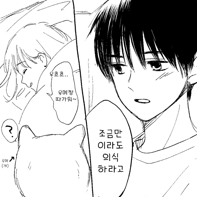 manga_3427846_020.webp