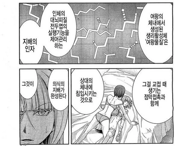 manga_3712491_002.webp
