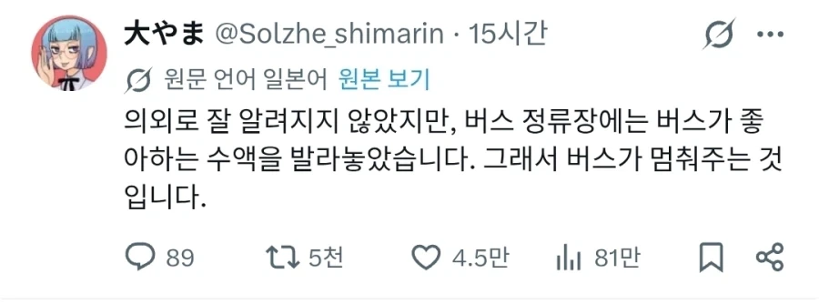 사람들이 잘 모르는 버스에 대한 상식_1.webp