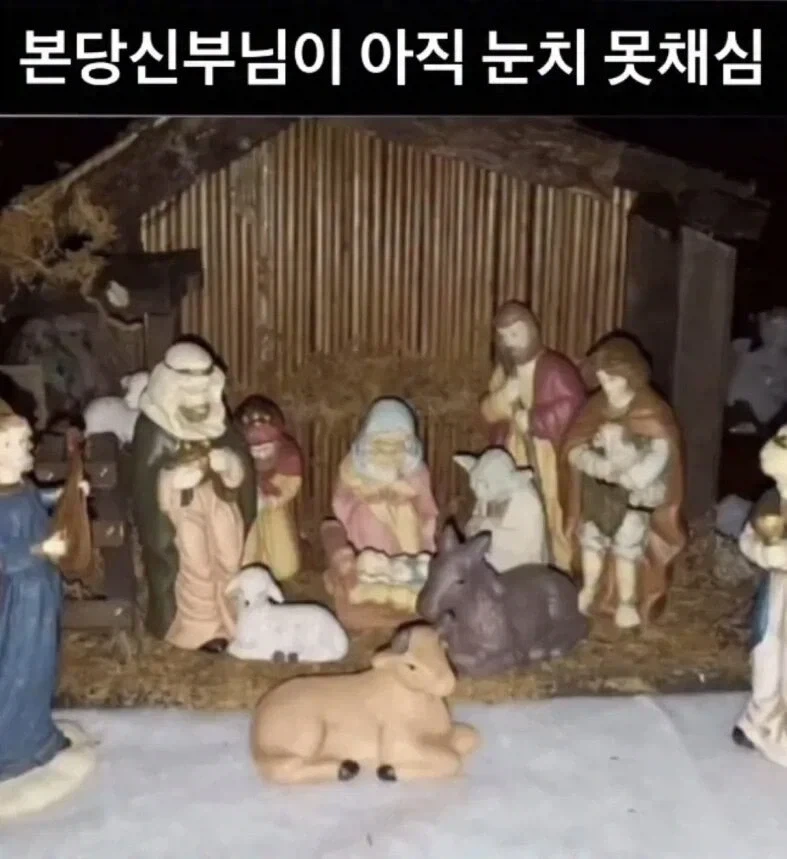 신부님이 아직 눈치 못챘다는 사진_1.webp