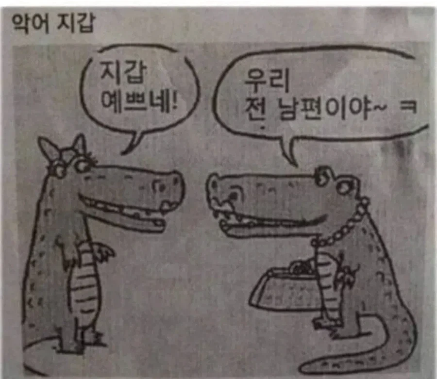 악어 지갑_1.webp