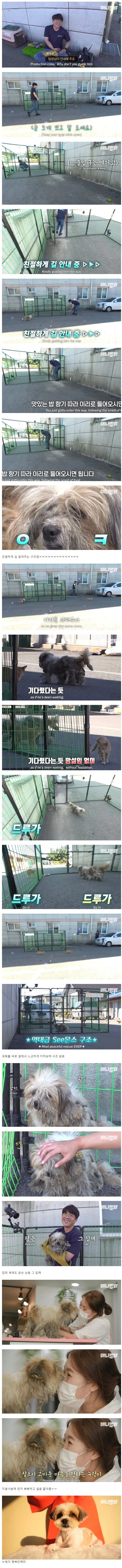 출연자와 짜고치던 동물농장 구조영상_2.webp