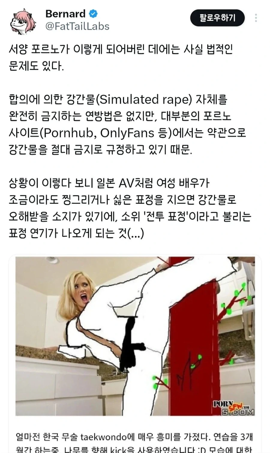 서양 ㅇㄷ에서 전투ㅅㅅ 하는 이유_1.webp