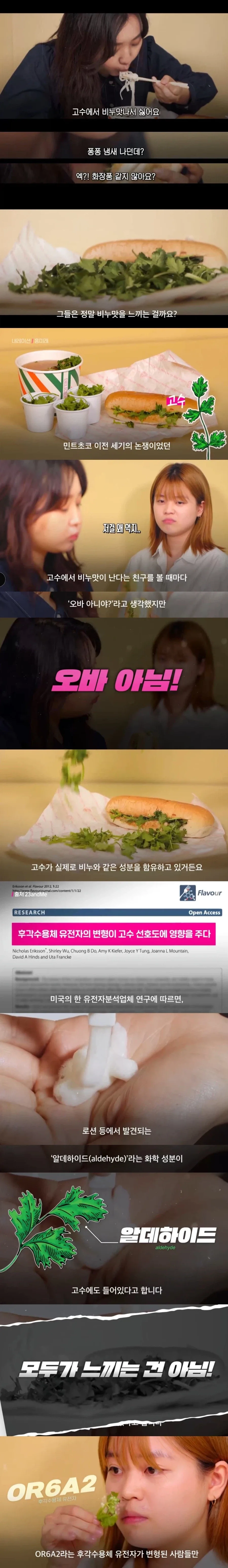 고수를 싫어하는건 반찬투정같은게 아니다.jpg_1.webp