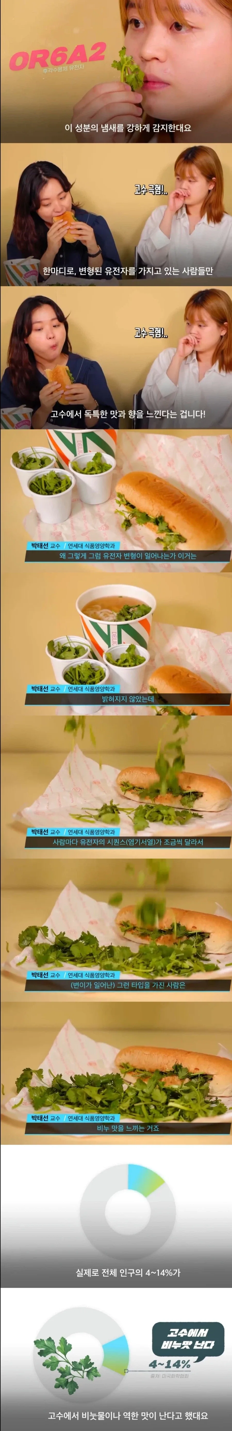 고수를 싫어하는건 반찬투정같은게 아니다.jpg_2.webp