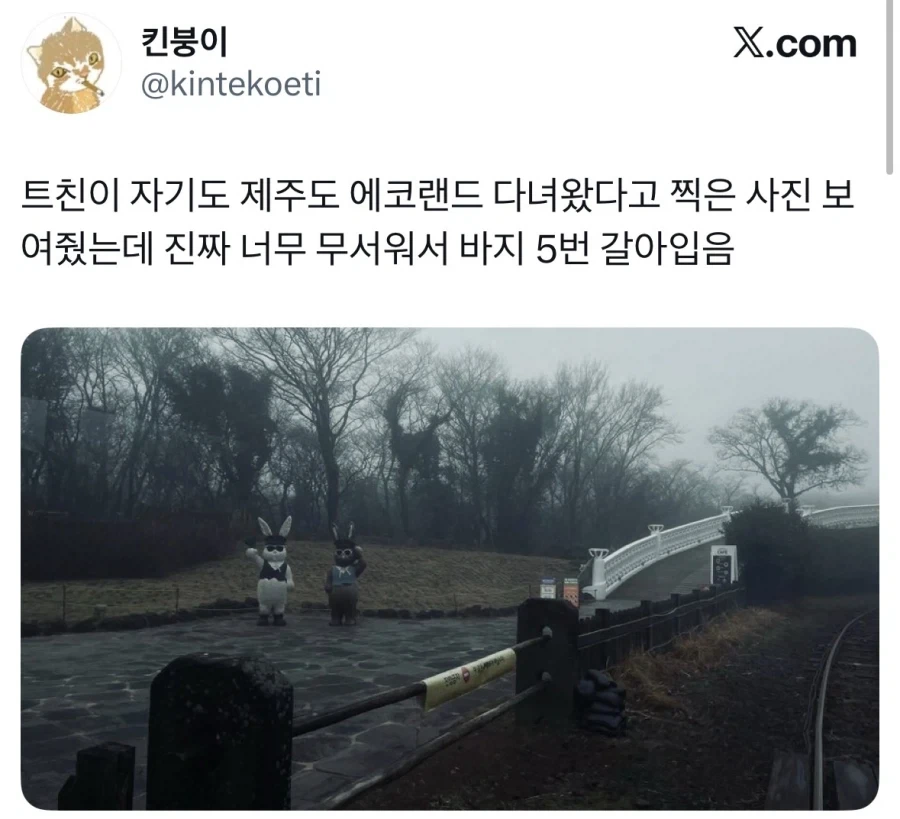 안개낀 제주도 에코랜드.jpg_1.webp
