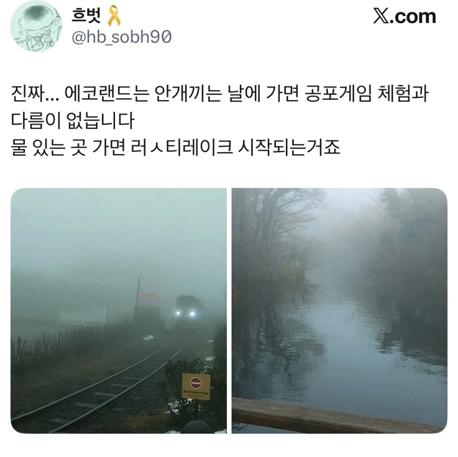 안개낀 제주도 에코랜드.jpg_2.webp