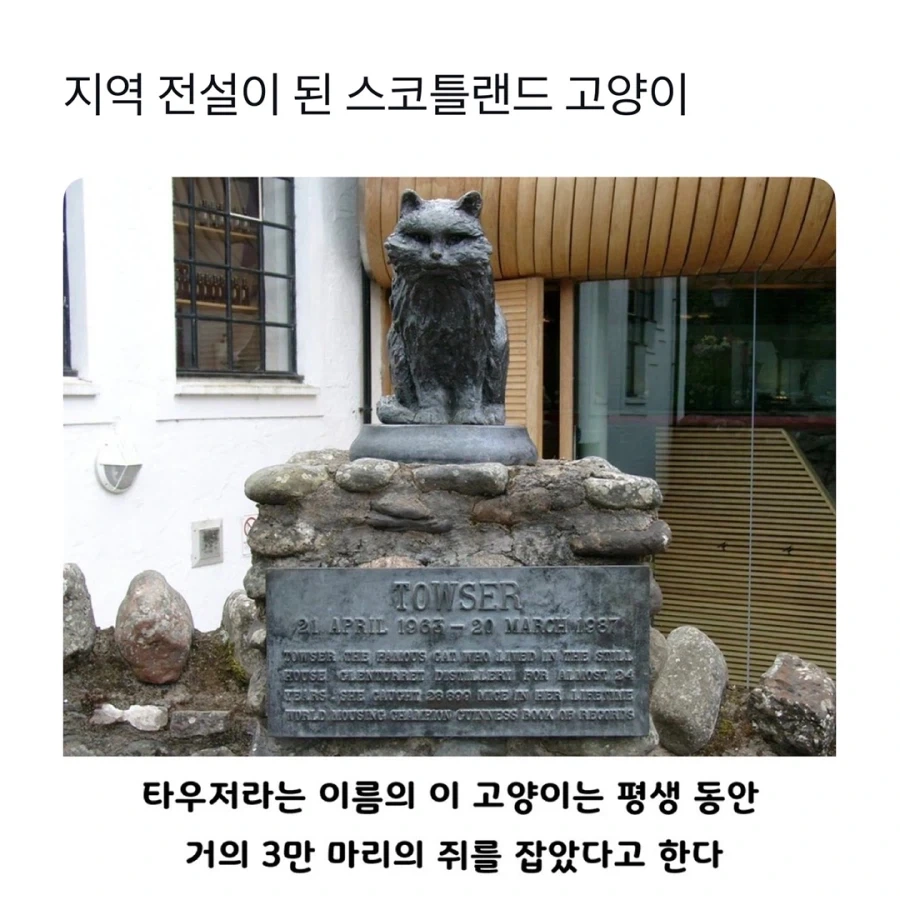 고양이 석상이 세워진 이유_1.webp