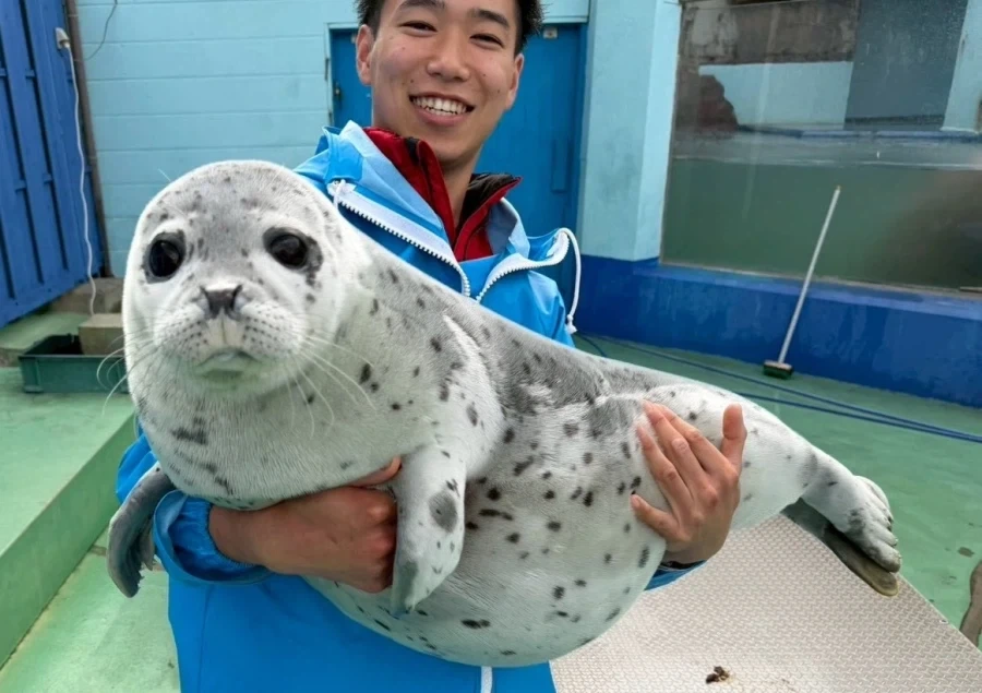 가벼워 보이지만_1.webp
