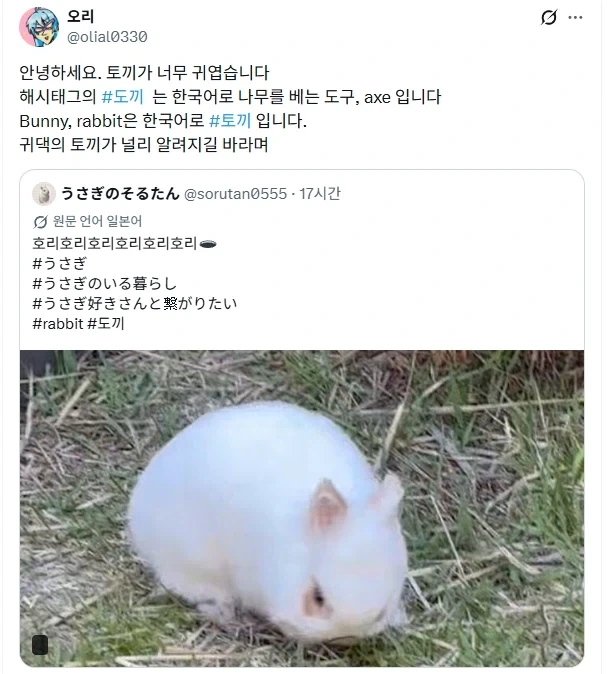 깡총깡총 도끼_1.webp
