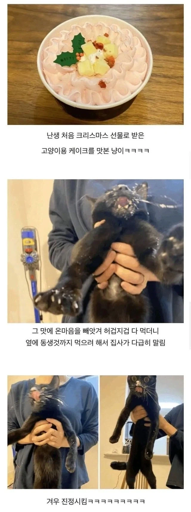 키에에엑! 놔라 집사! 나는 이것을 먹어야 한다 말이다앗!!!_1.webp