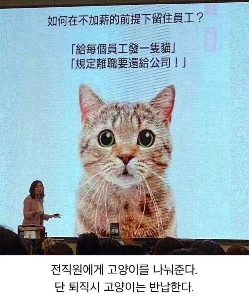 퇴사율 낮추는 개꿀팁...tip_1.webp