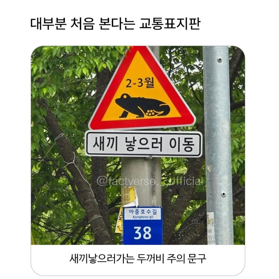 처음 본다는 교통 표지판_1.webp