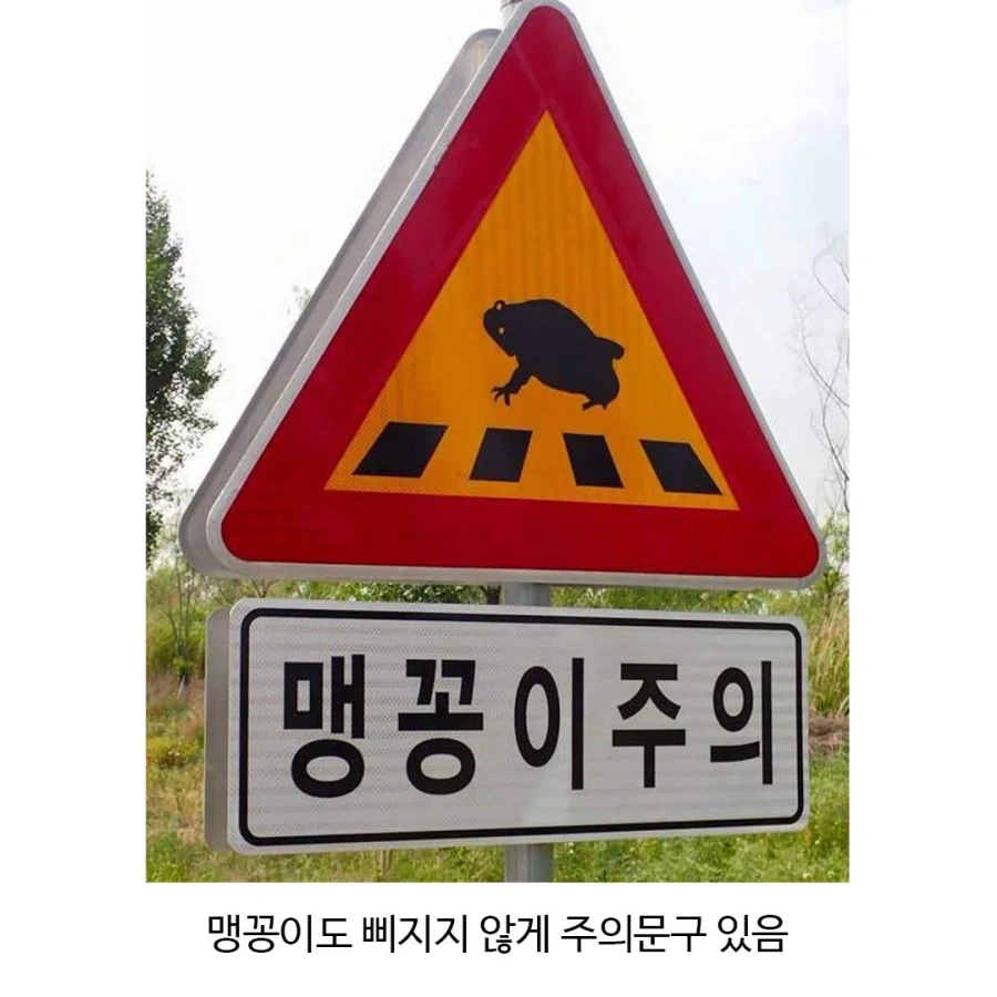 처음 본다는 교통 표지판_3.webp