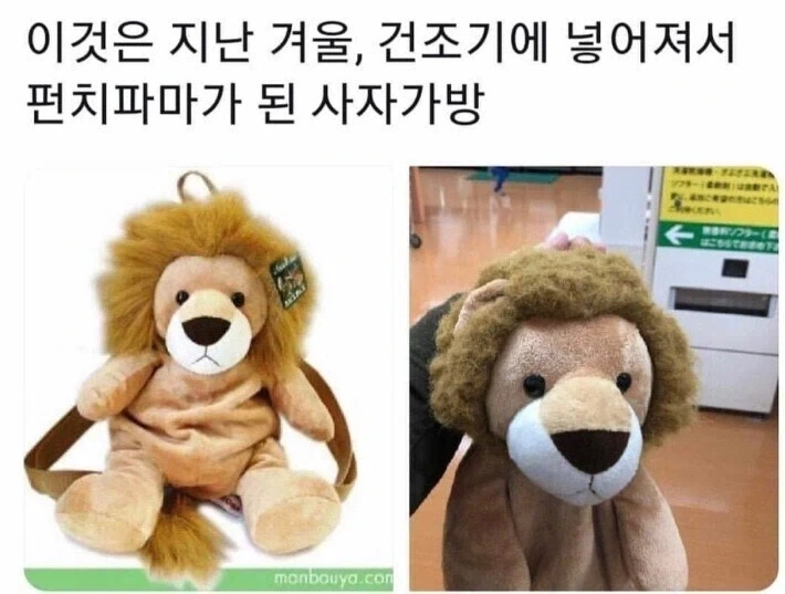 사자가방의 건조기 후기.jpg_1.webp