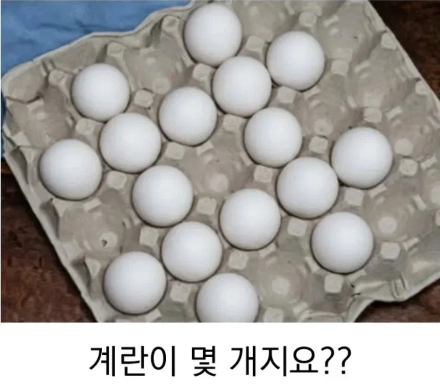 100번을 세어도 헷갈리는 계란개수_1.webp