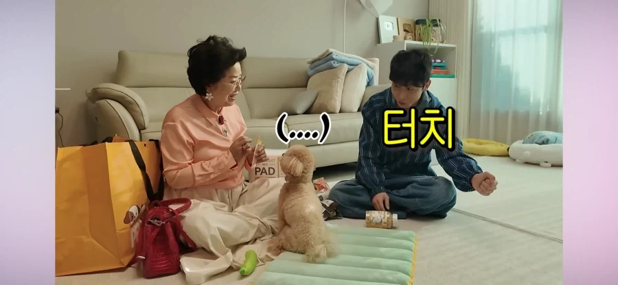 시각장애인이신 한솔 이분 강아지 웃기네 ㅋㅋㅋ_1.webp