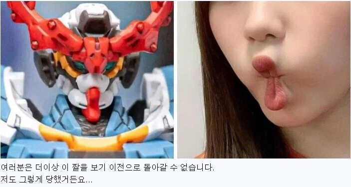 보는 순간 예전으로 돌아갈 수 없는 저주 받은 건담 짤_1.webp