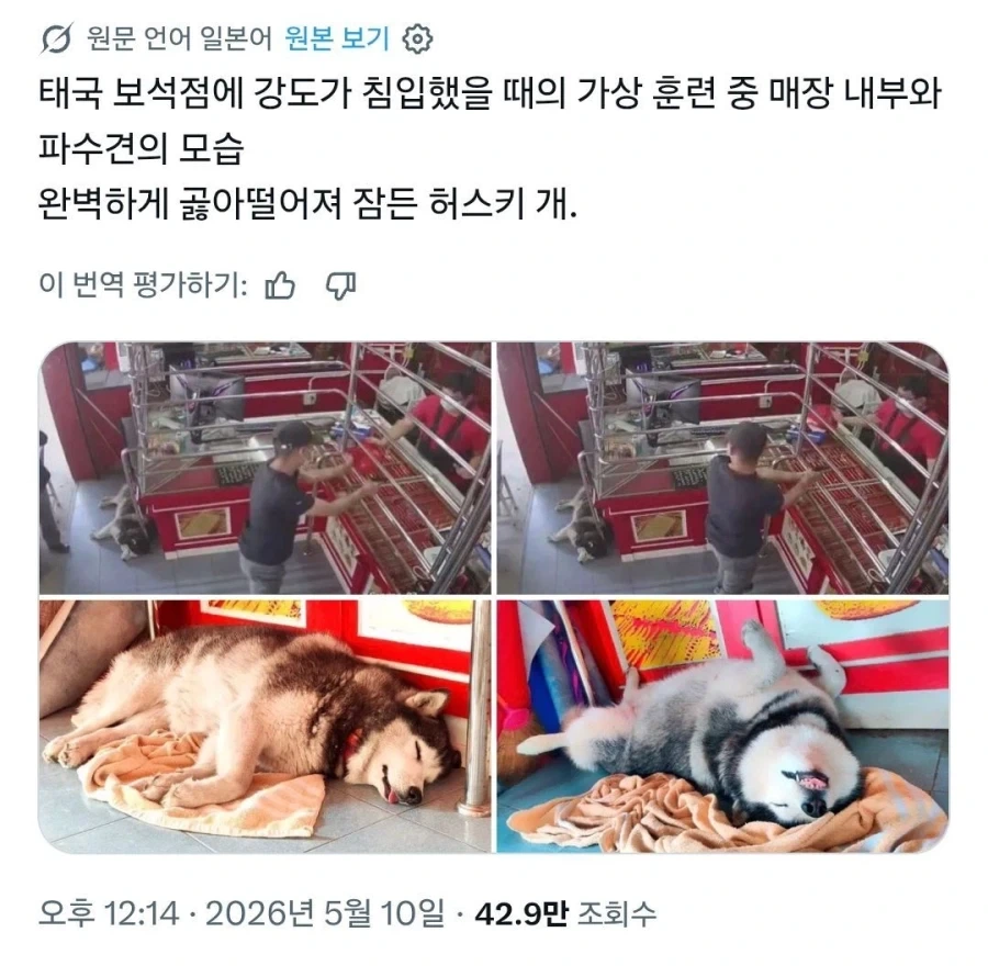 깅도가 들어온 보석점_1.webp
