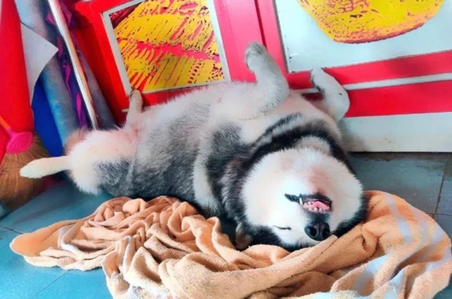 깅도가 들어온 보석점_5.webp