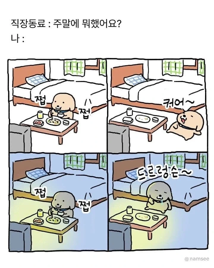 주말 동안 한 일_1.webp