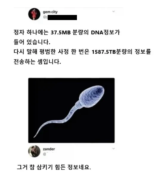 정자 하나에는 37.5MB의 정보가 있습니다._1.webp