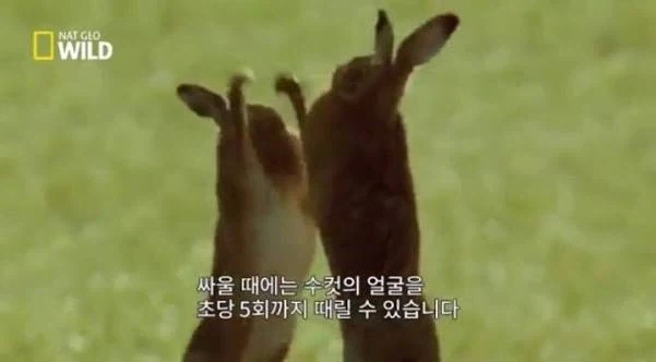 내 글 댓글에서 싸움이 일어난걸 본 심정_1.webp