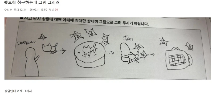 펫보험 청구하는데 그림 그리래_1.webp