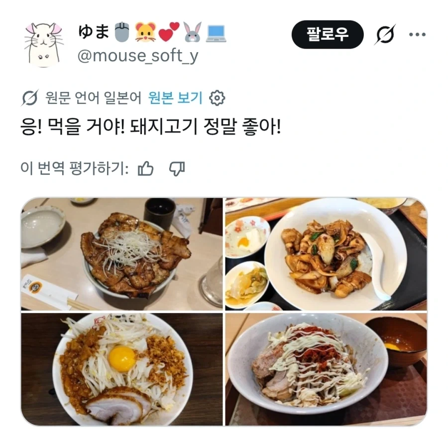 돼지고기 먹는 한국인 조롱하는 무슬림_4.webp