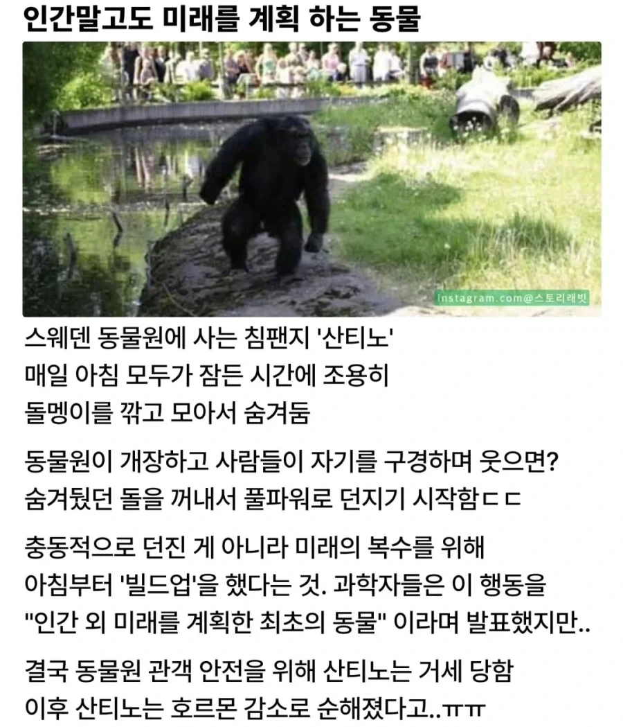 미래를 계획할줄 알았던 대가를 치른 짐승_1.webp