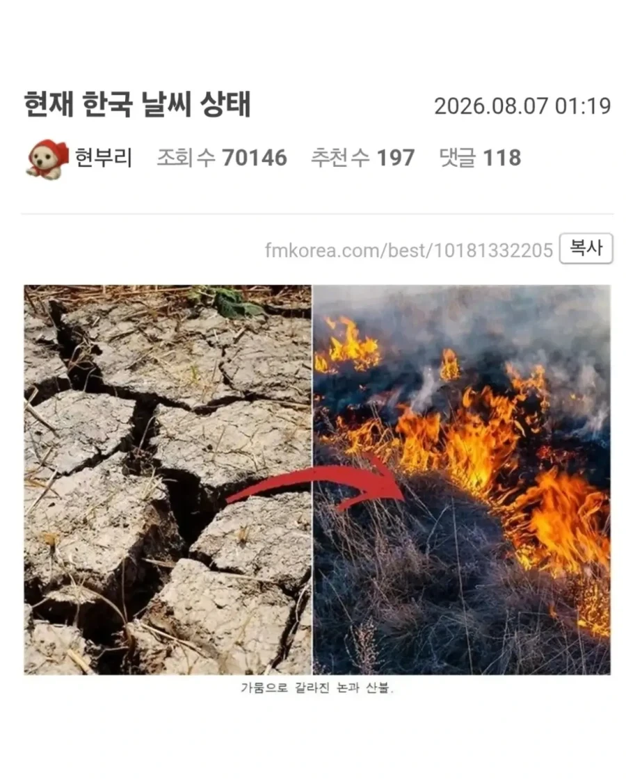 2일 전 한국 날씨 상태.jpg_1.webp