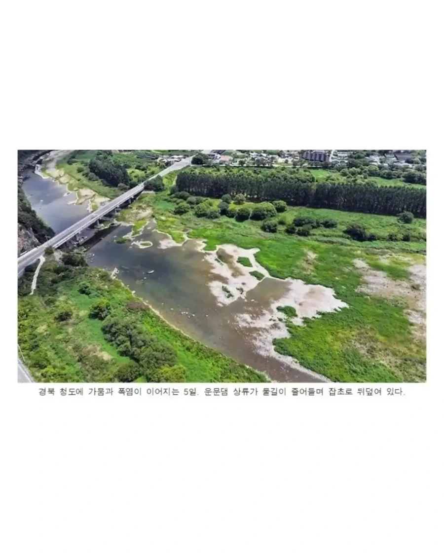 2일 전 한국 날씨 상태.jpg_3.webp