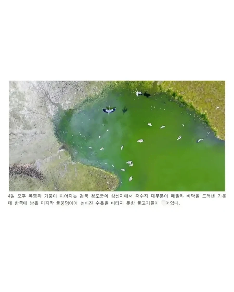 2일 전 한국 날씨 상태.jpg_4.webp