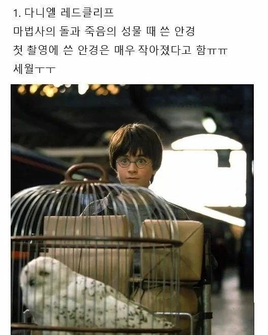 해리포터)돚거의 역사_1.webp