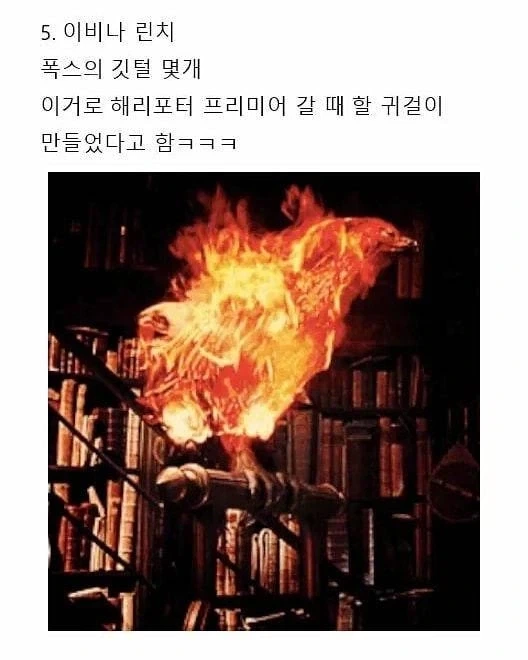 해리포터)돚거의 역사_5.webp