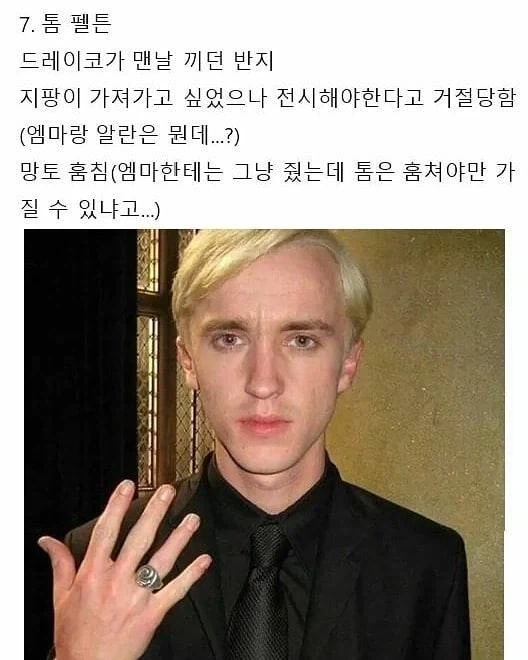 해리포터)돚거의 역사_7.webp