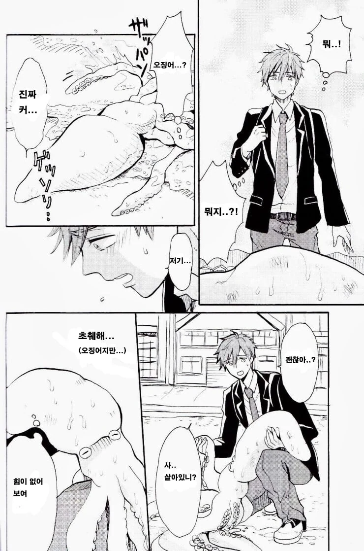 열도의 은혜 갚는 오징어 .manwha_2.jpg