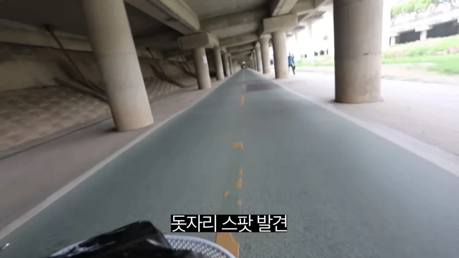 피크닉 나가서 닭 뜯는 유튜버.jpg_1.webp