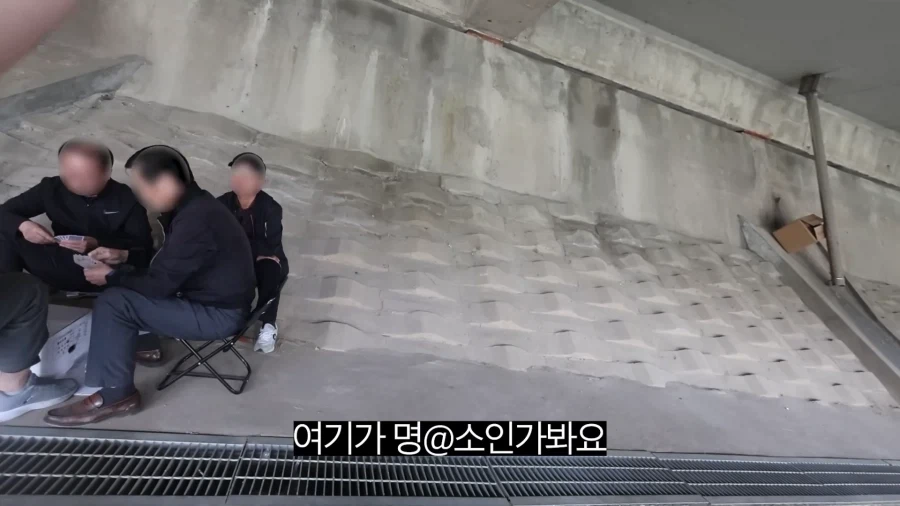 피크닉 나가서 닭 뜯는 유튜버.jpg_6.webp