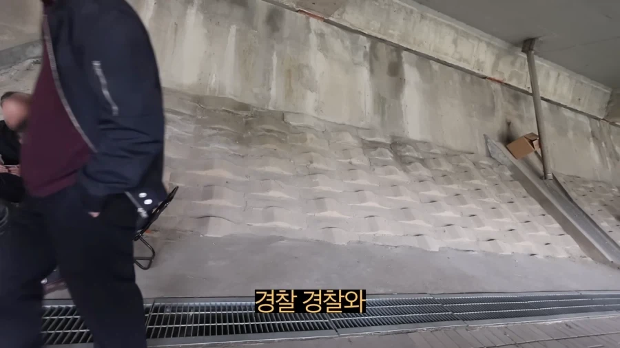 피크닉 나가서 닭 뜯는 유튜버.jpg_12.webp