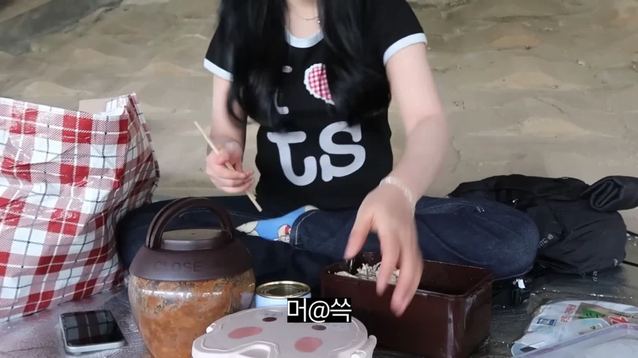 피크닉 나가서 닭 뜯는 유튜버.jpg_32.webp