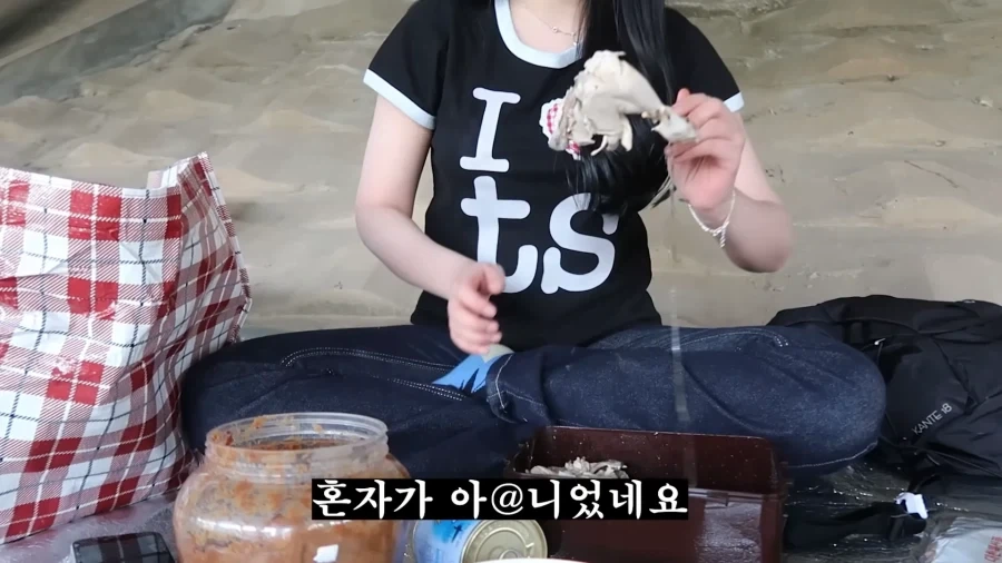 피크닉 나가서 닭 뜯는 유튜버.jpg_33.webp
