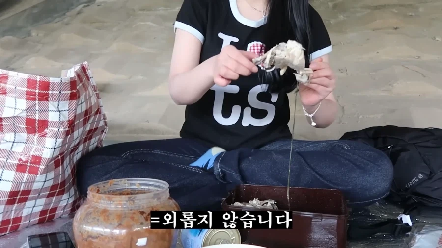 피크닉 나가서 닭 뜯는 유튜버.jpg_34.webp