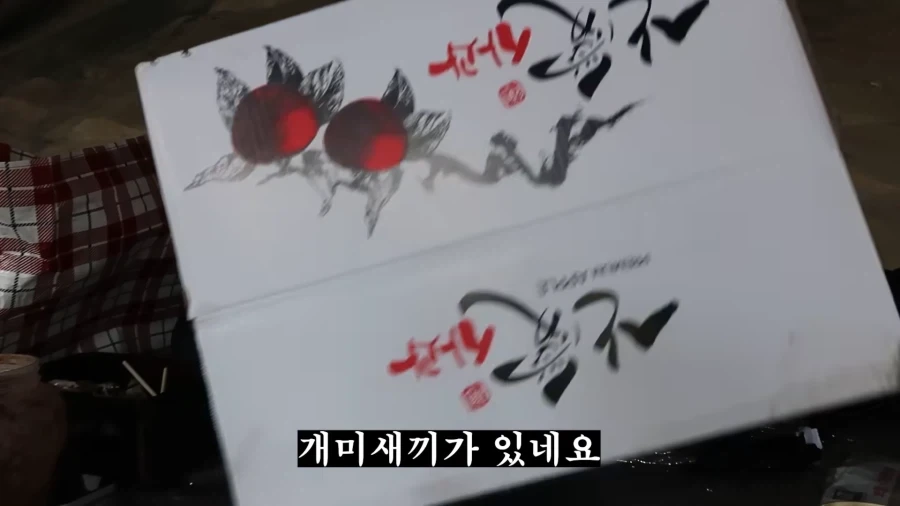 피크닉 나가서 닭 뜯는 유튜버.jpg_36.webp